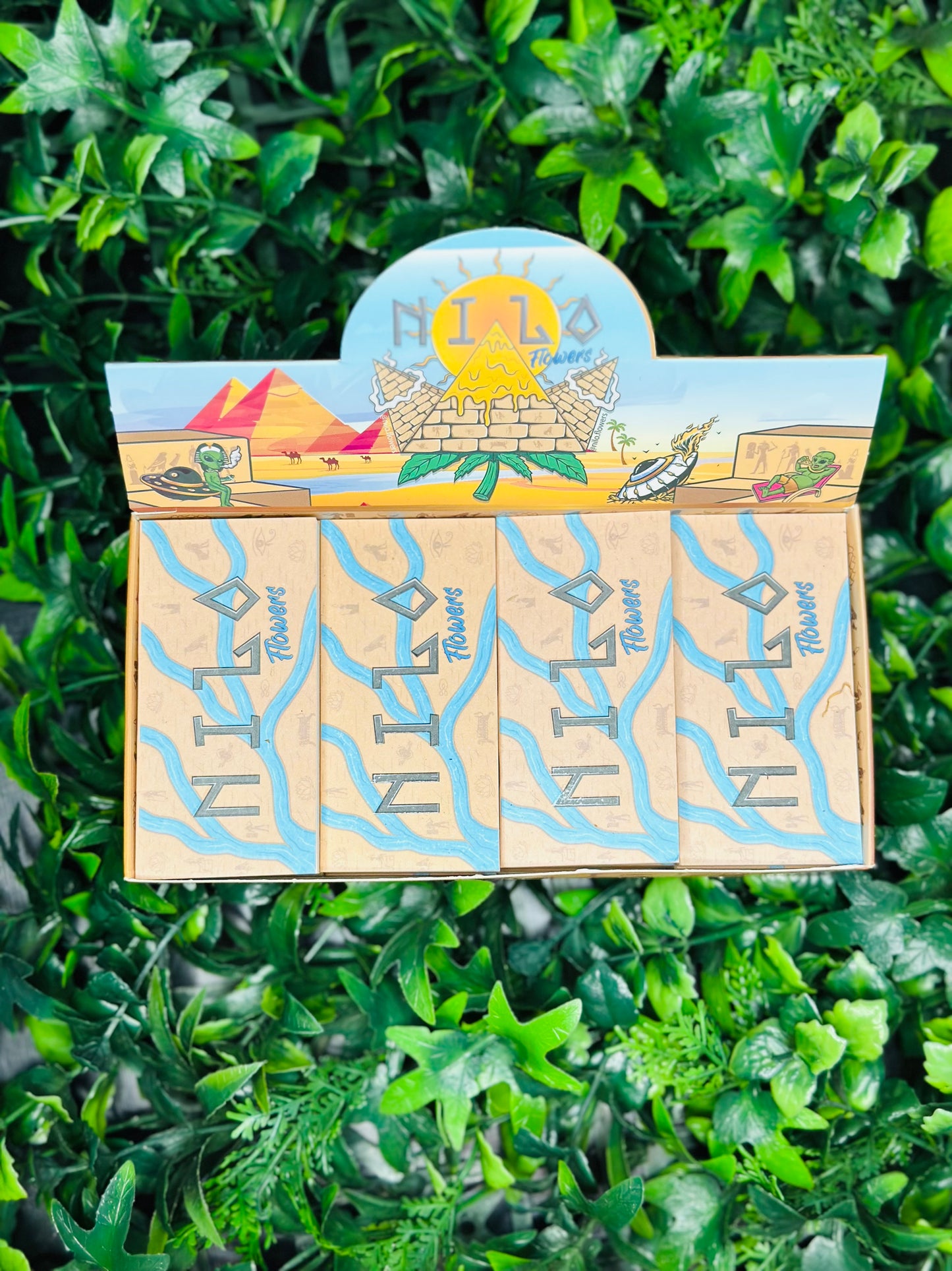 Piteira de Papel Nilo Flowers - Extra Larger