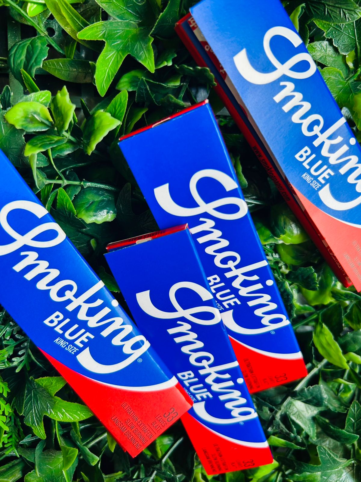 Seda Smoking Blue (Un.)